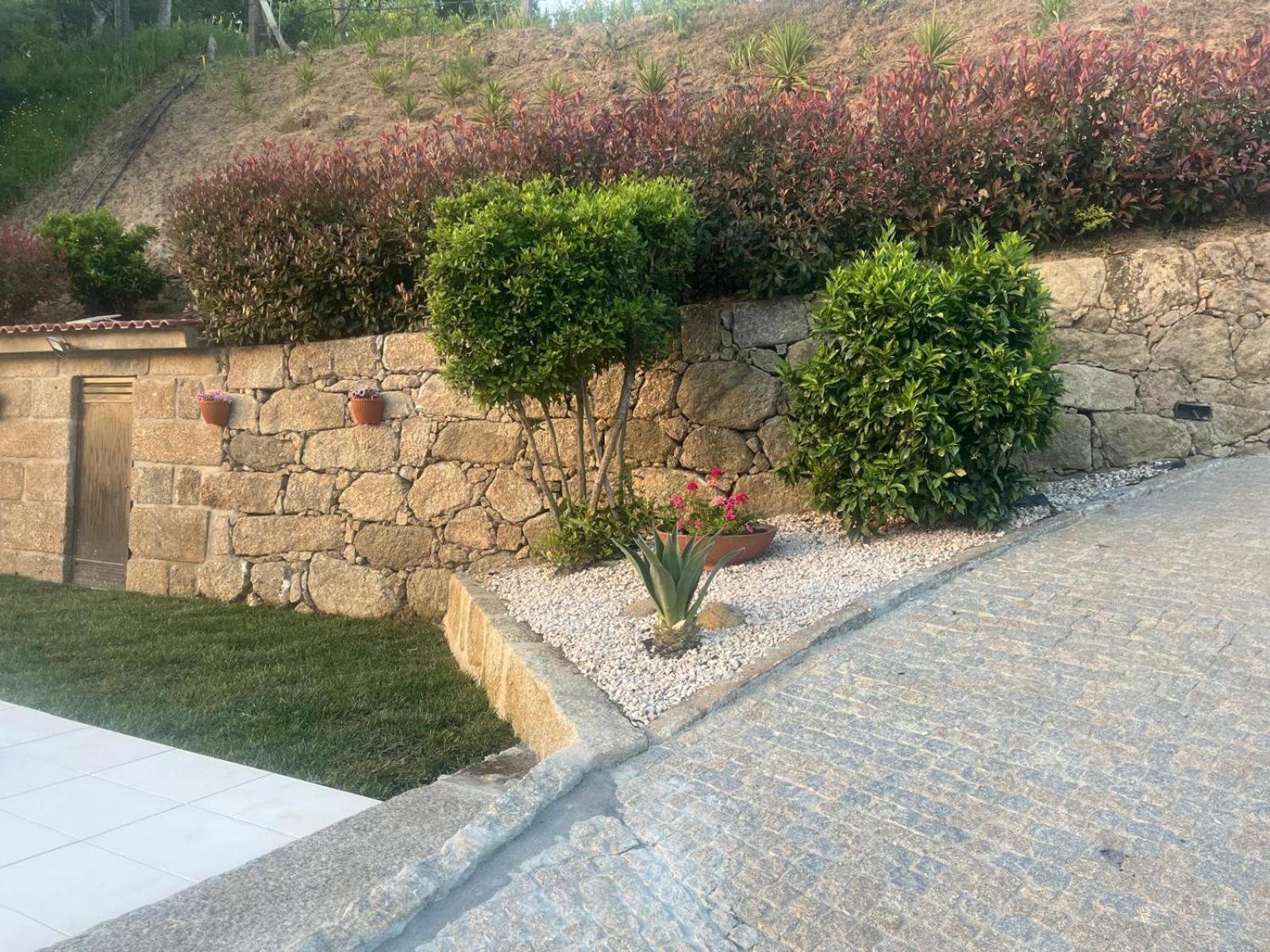 Crasto Payva Douro Nature Каштелу-ди-Пайва Экстерьер фото